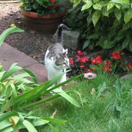 Z łazienkami Obiekt Przy żeglarzy Pensjonat